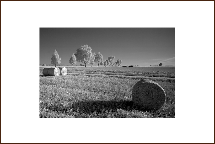 °° Y o (Infrarot) Infrarot, infrared