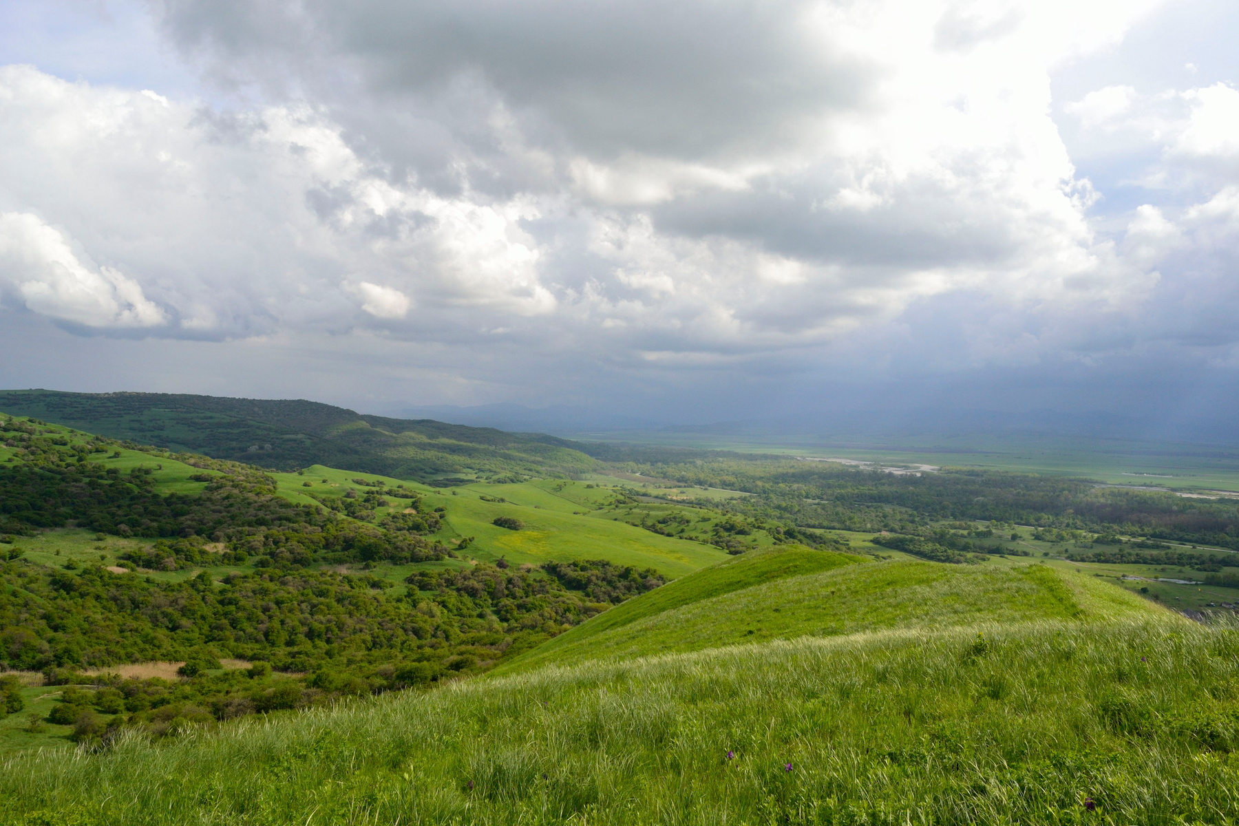 Кубань 