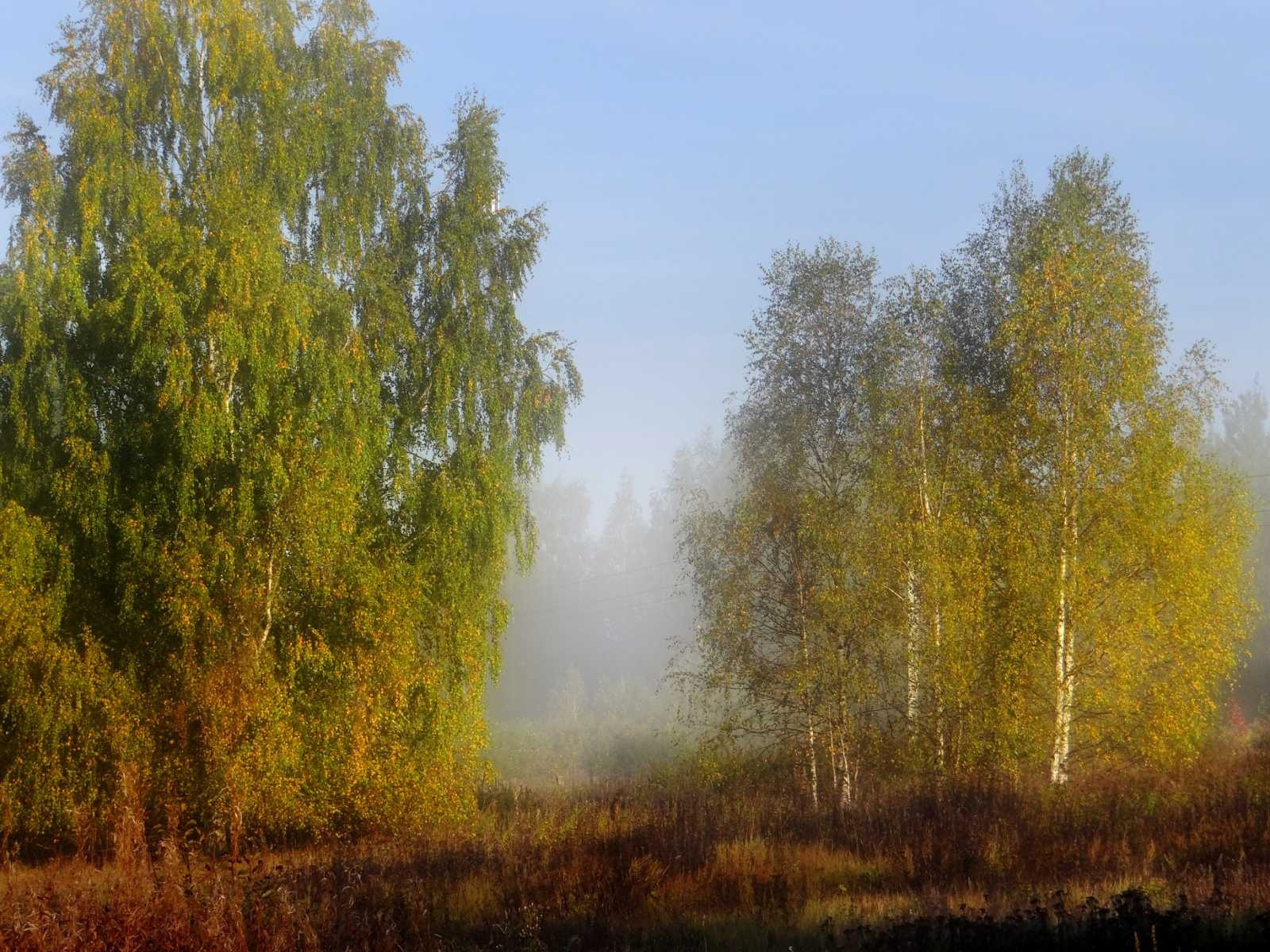 ЛУЧ 