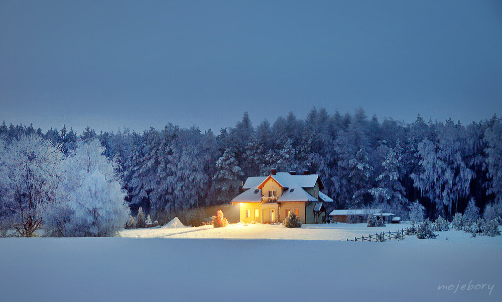 a house in Bory Tucholskie winter, house, bory tucholskie, mojebory, snow, forest, trees, light, night