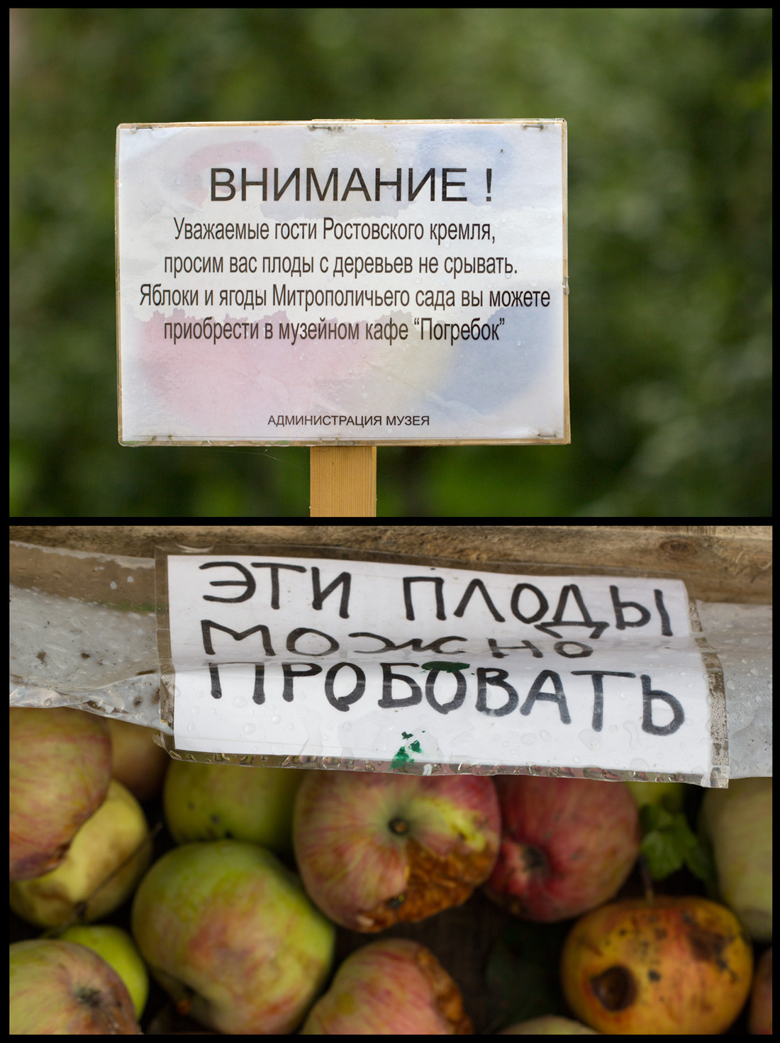 Ростовское гостеприимство 