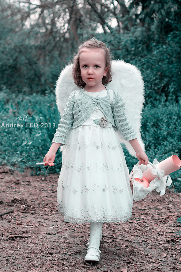 Elf Андрей Федосов Andrey FED ангел angel эльф elf