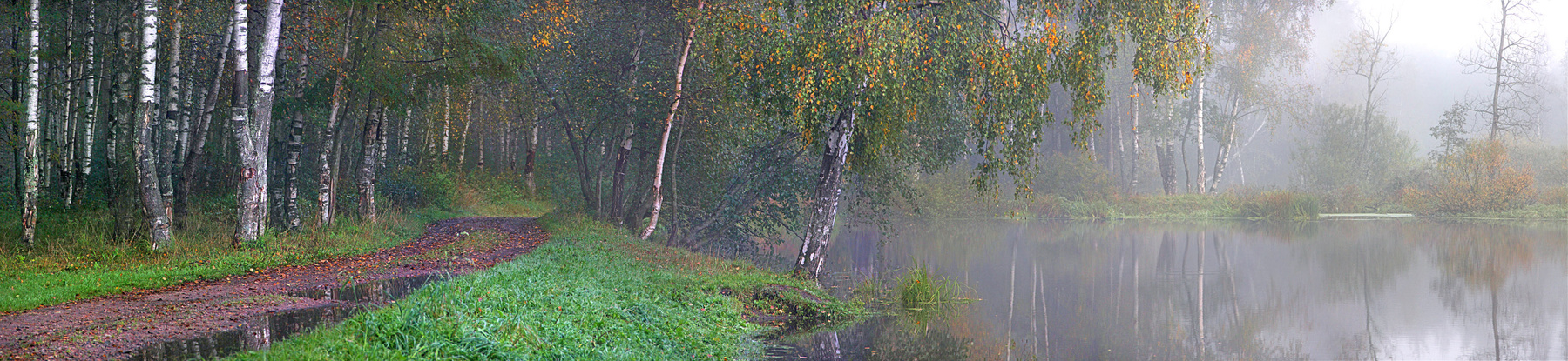 Осенняя прогулка. 