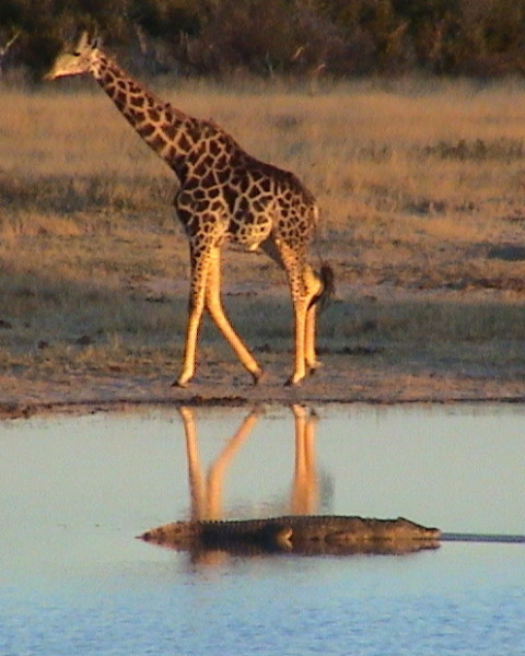 African Paradise 4 Zimbabwe