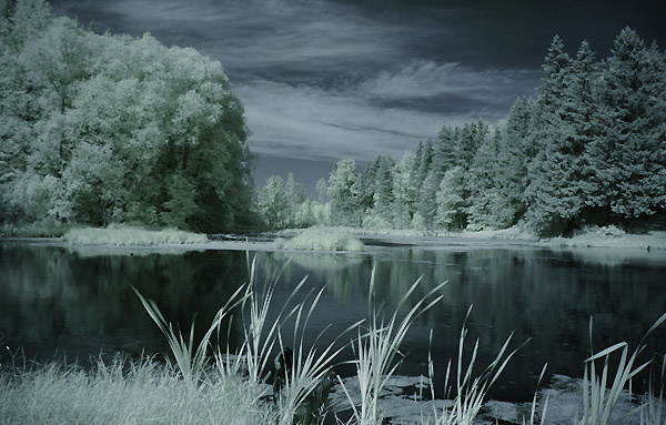 лесной инфраред infrared, cokin 007, природа, деревья, озеро, пейзаж