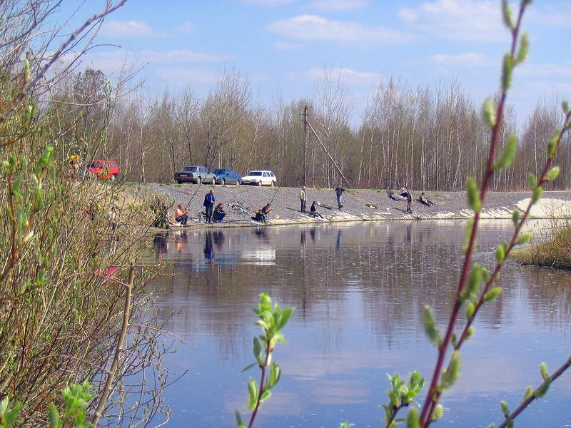 Клёв 