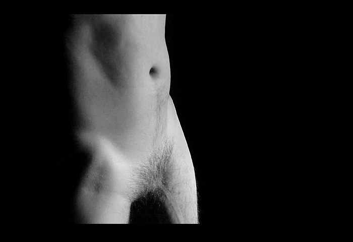 moonlight. 