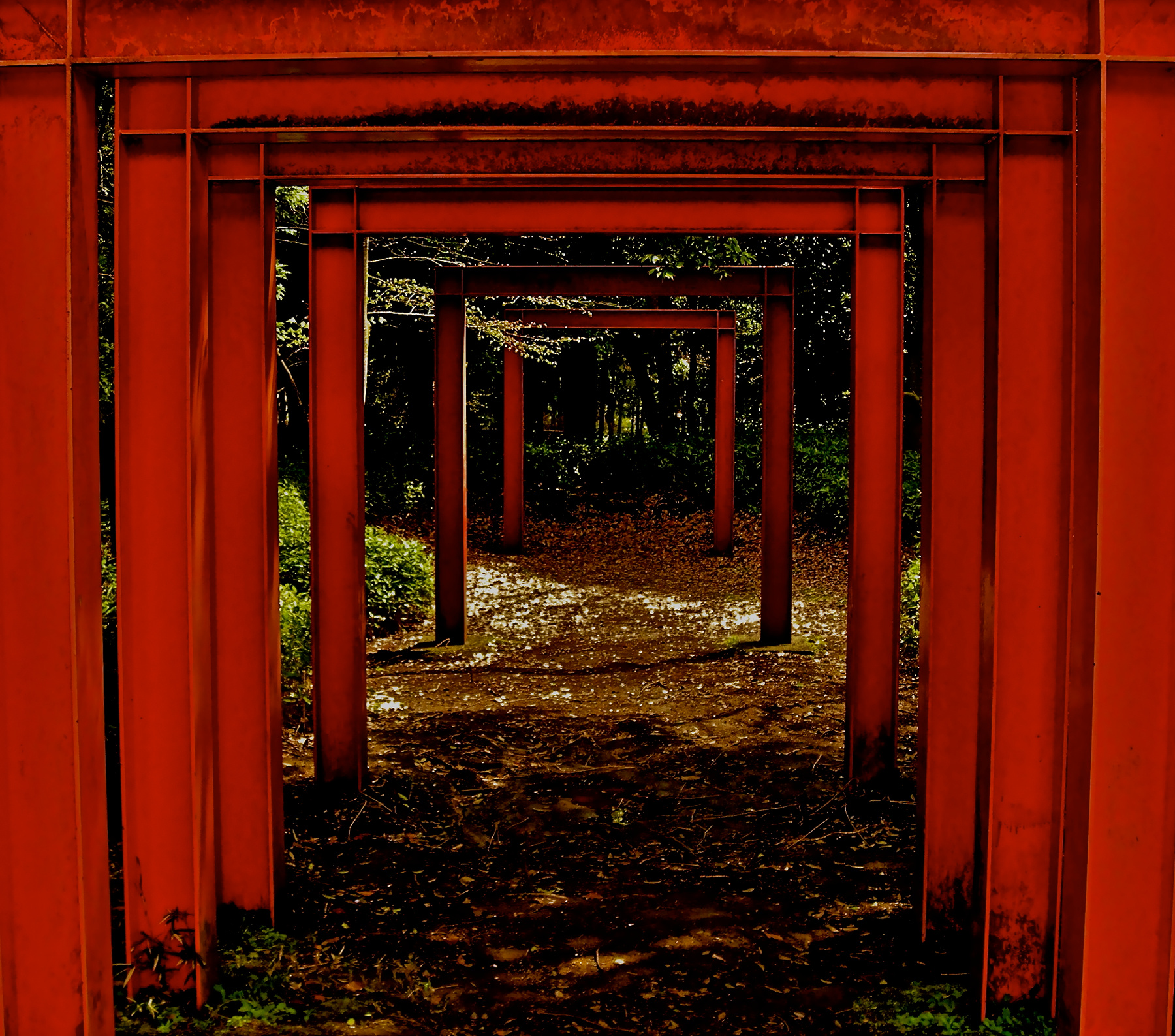Tama 