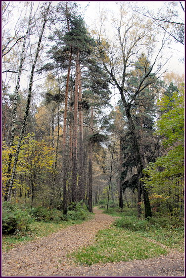 Прошлогодняя осень 