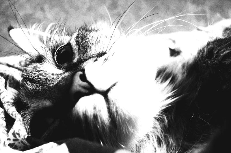 =^_^= 
