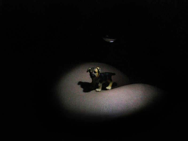 п о т е р я л с я  щенок Schleich
