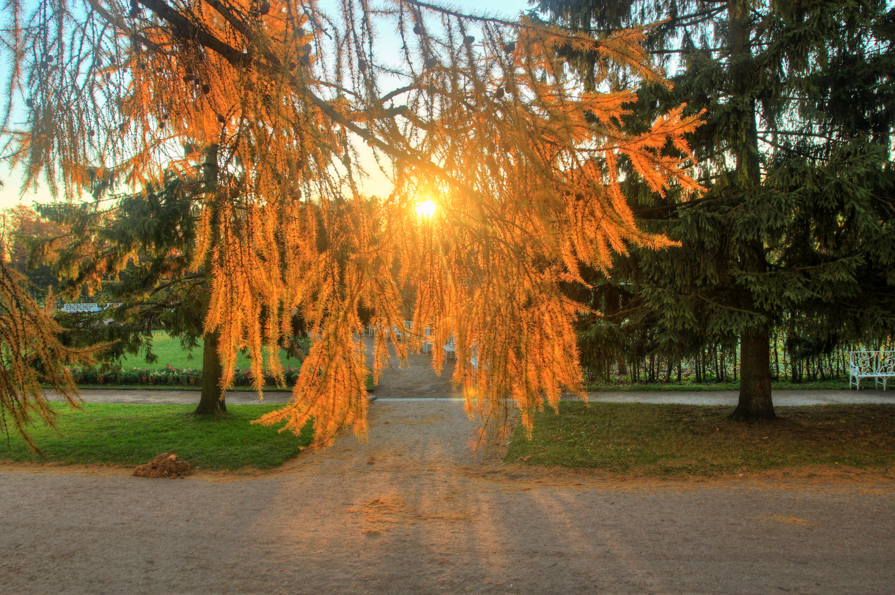 Осеннее солнце пейзаж,осень,парк