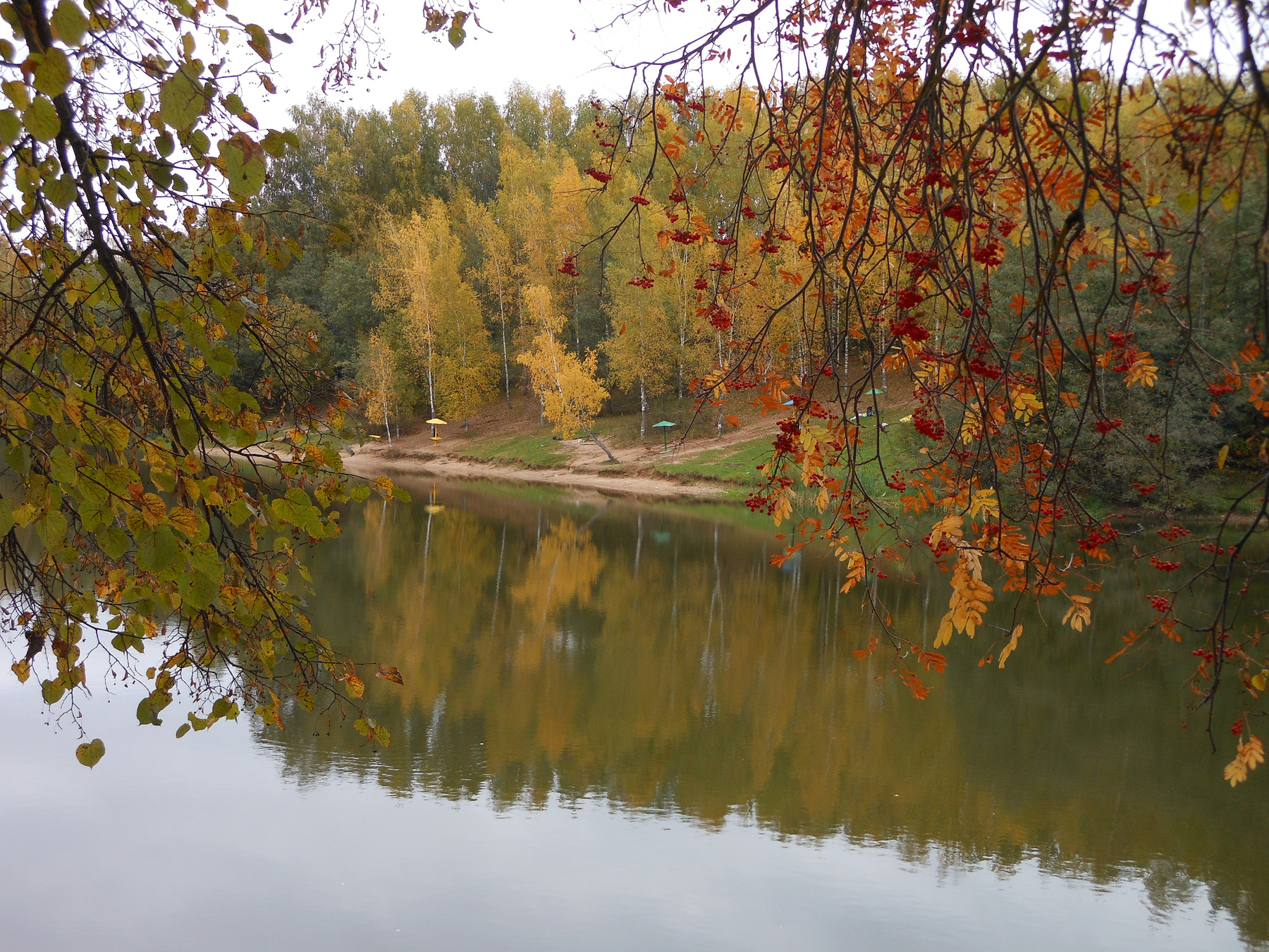 И снова осень...10 осень13