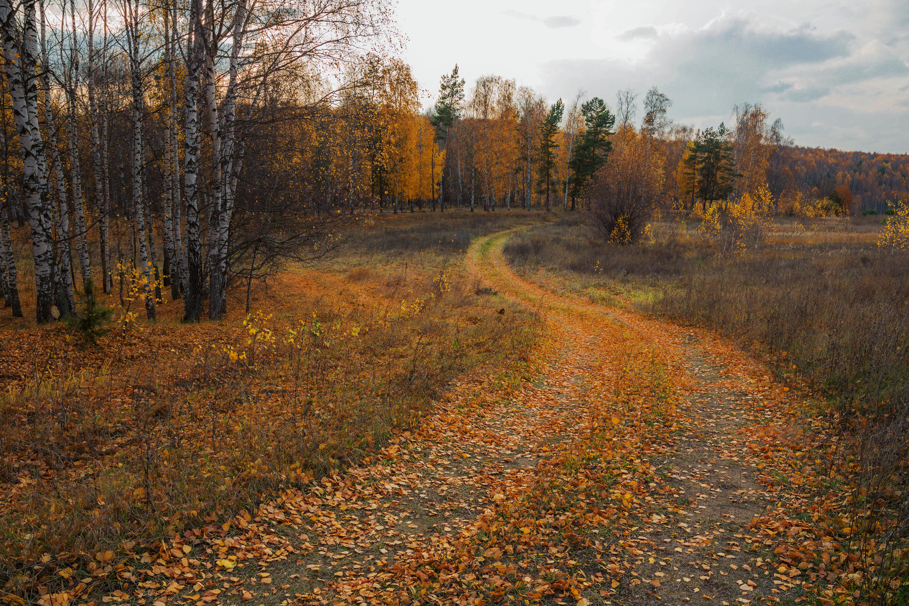 *** природа пейзаж осень дорога лес татарстан