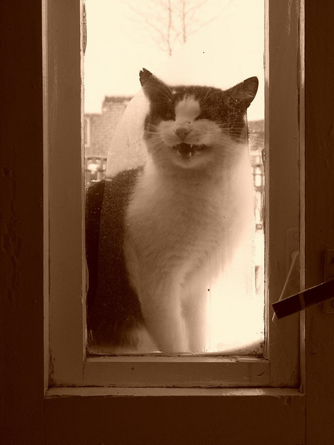 Хочу домой!!! Хочу домой!!!