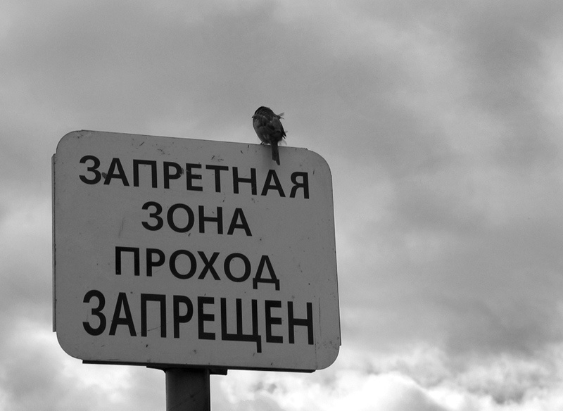 do not cross 