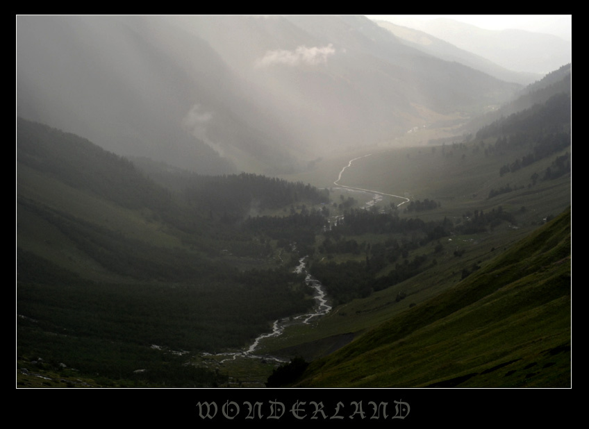 WONDERLAND 