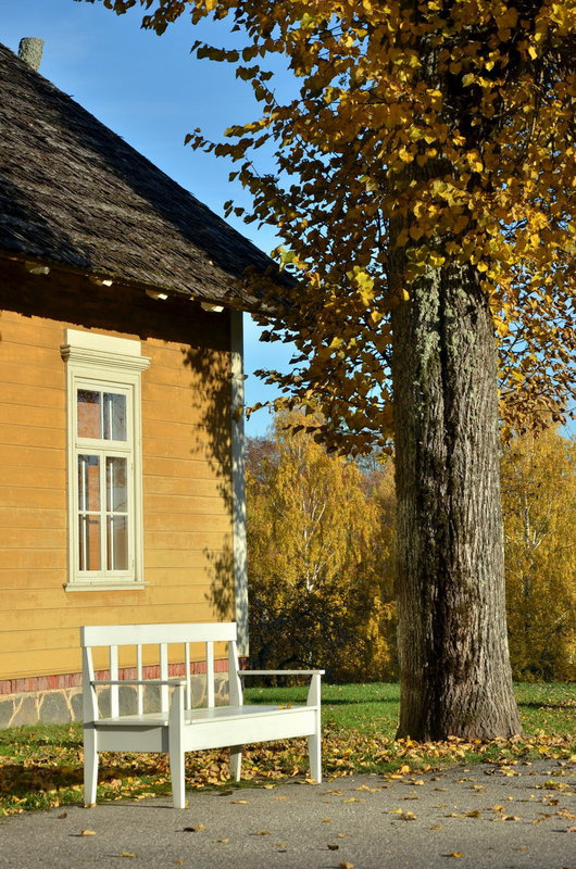 Осеннее настроение Latvia