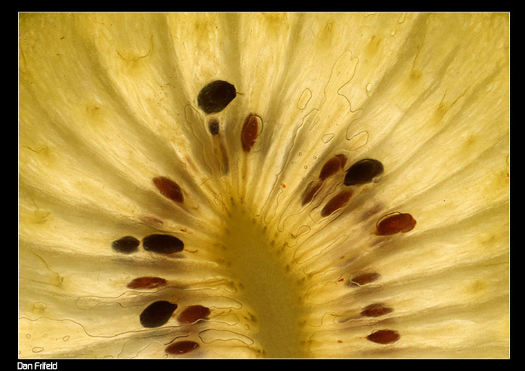 Киви kiwi