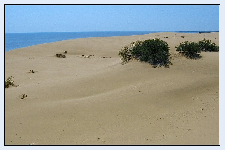 Desert Куршская коса пейзаж высота Эфа