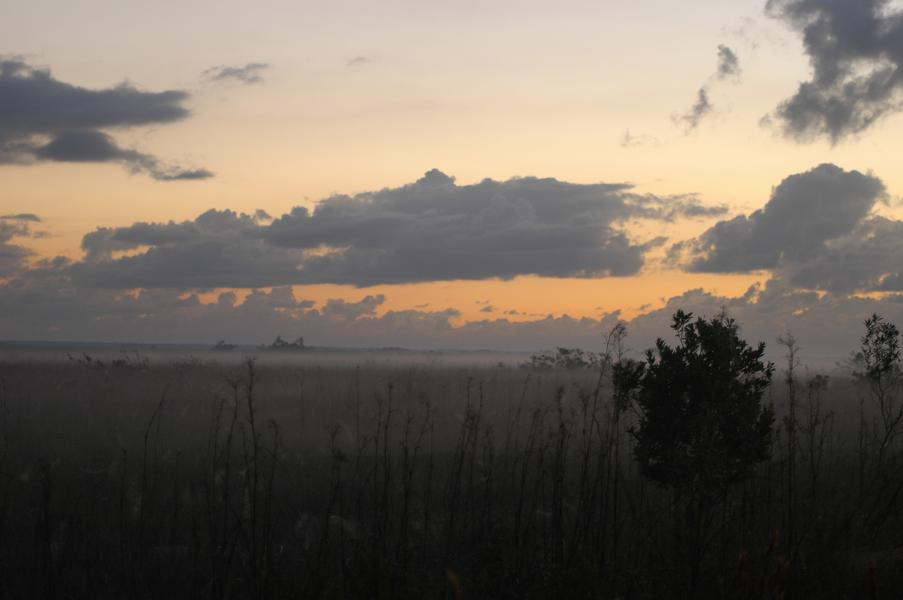 Morning mist 