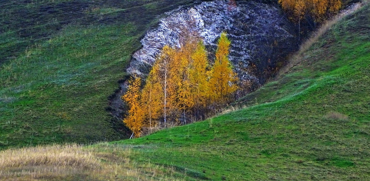 " Икона Осени " 