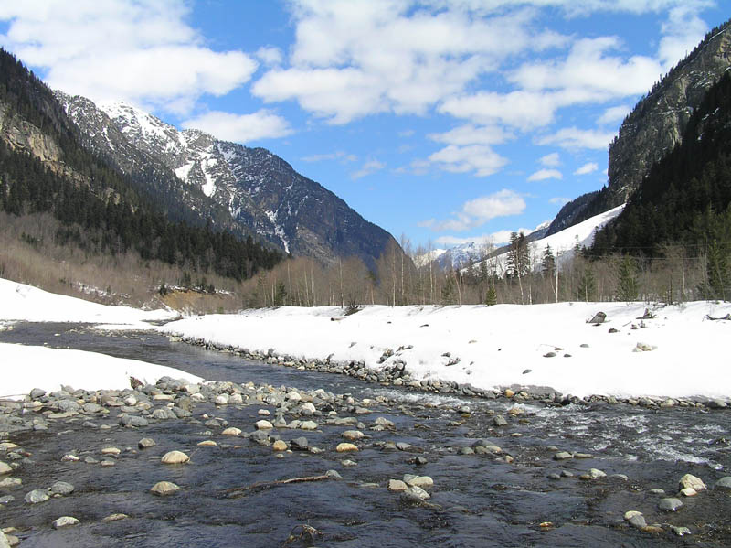 форельная речка аманауз, домбай, форельная