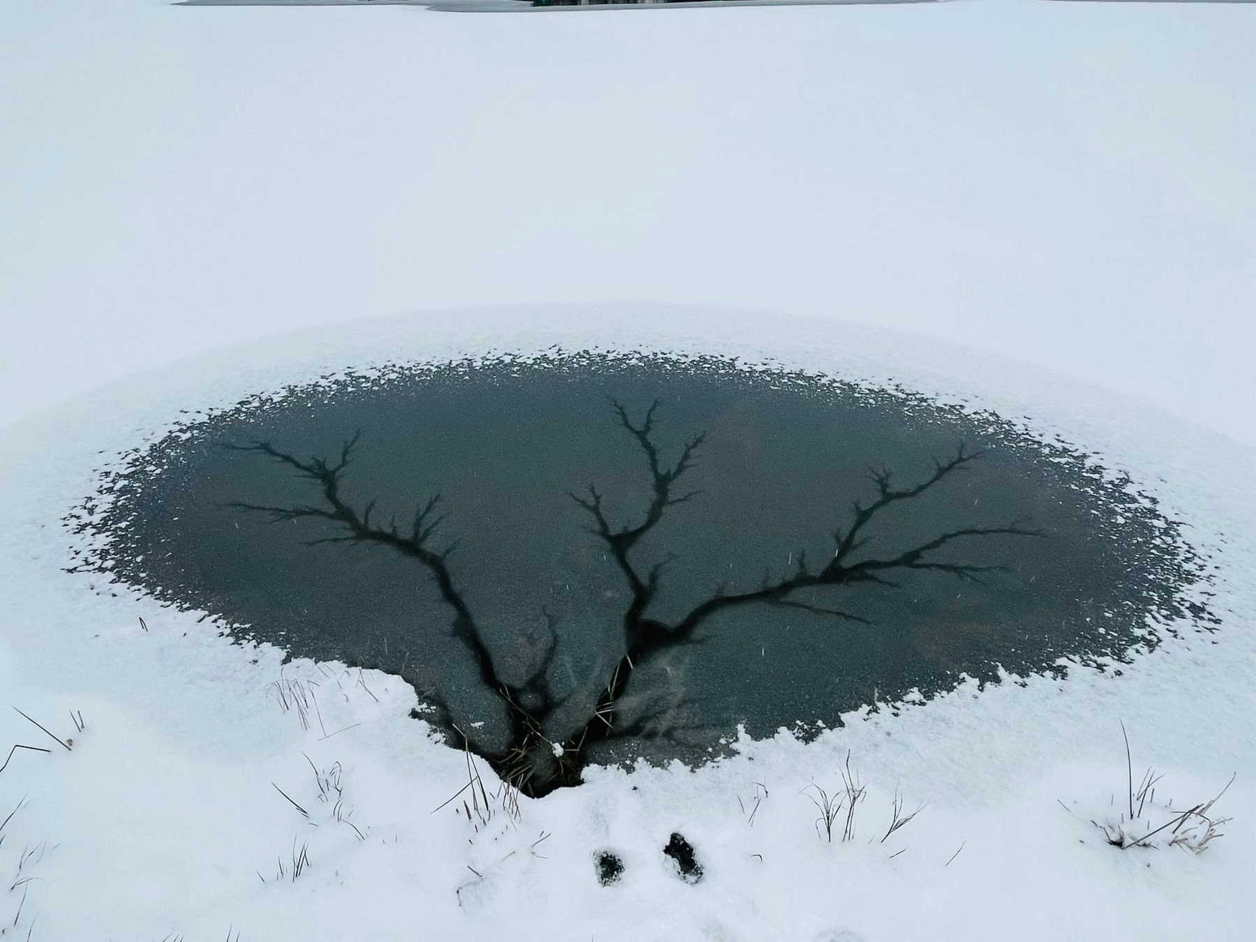 ***зимняя картина 
