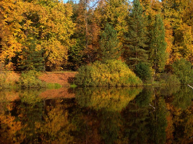 Бабье лето озеро осень