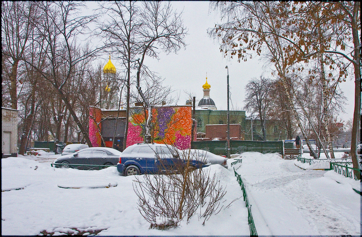 Зимний сон 