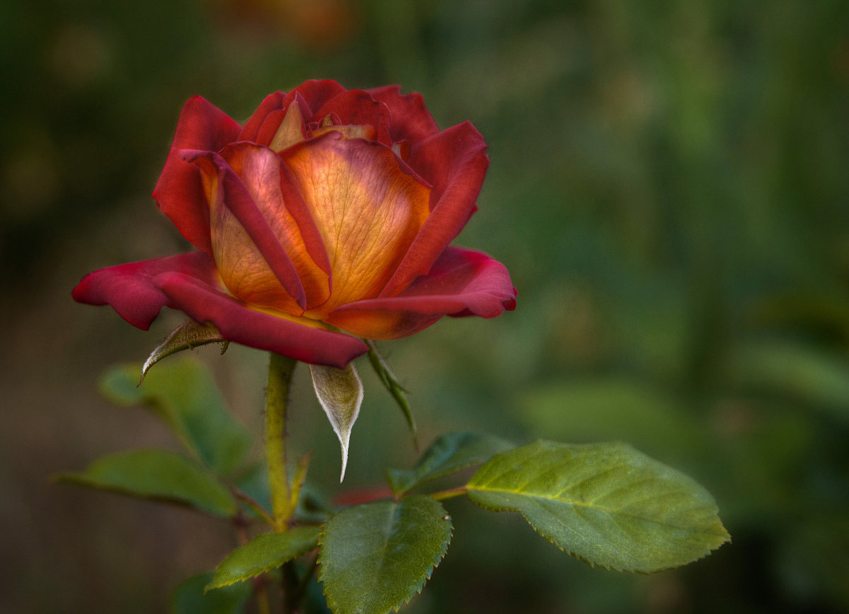 For you! 