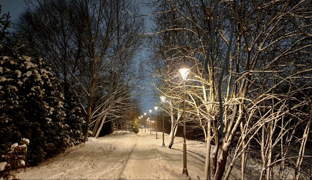 Зима в Прокшино 