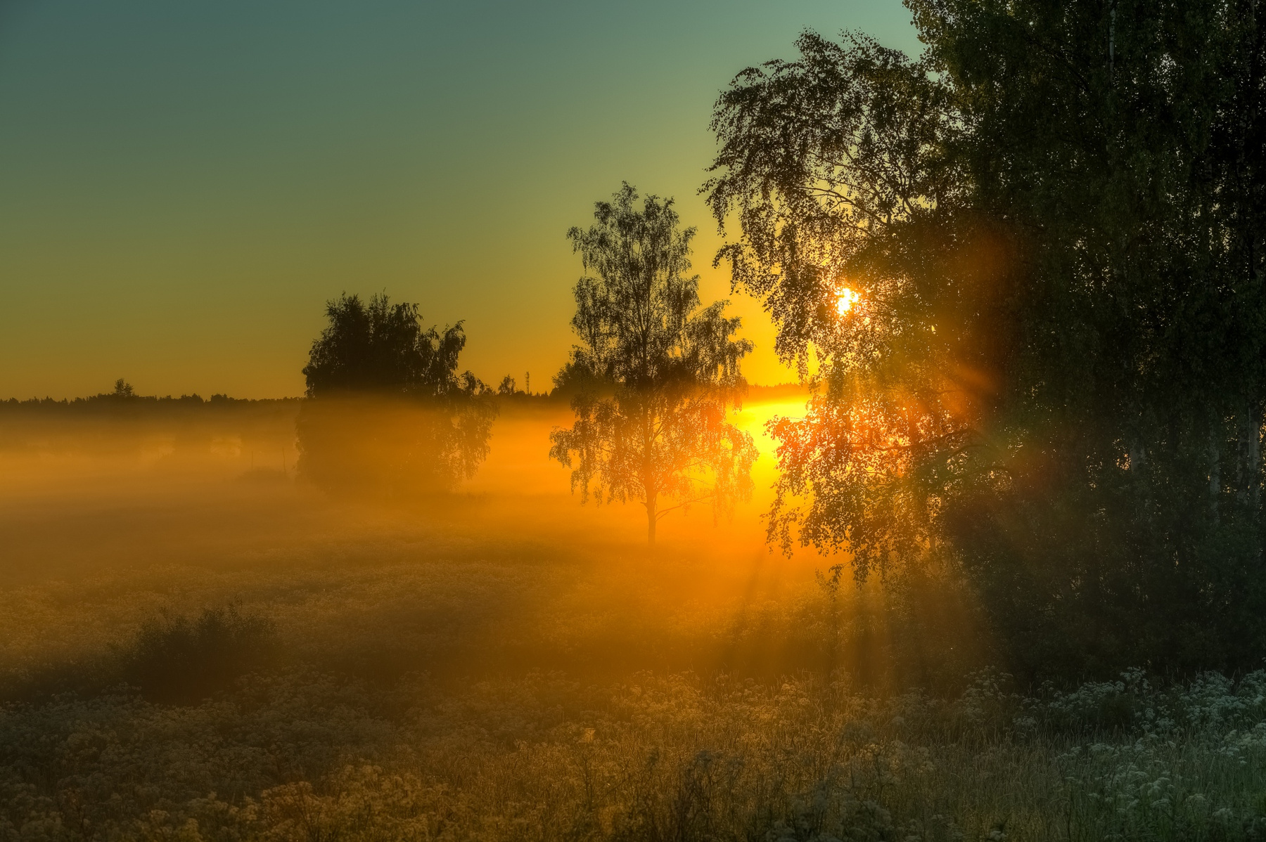На рассвете Рассвет