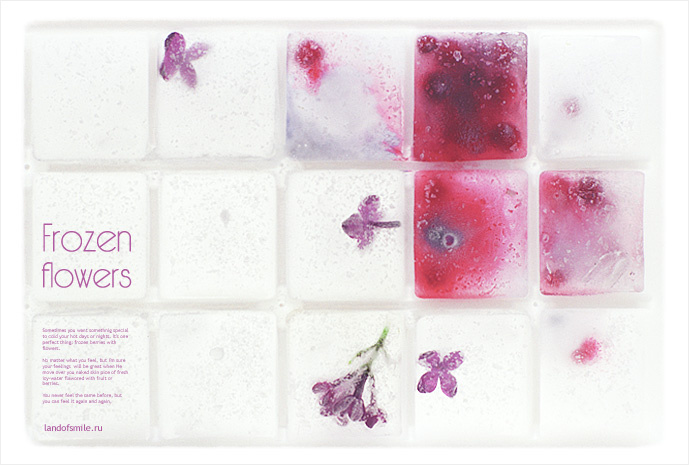 Frozen flowers 