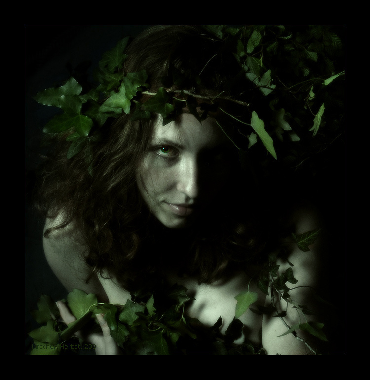 Ivy Fairy 
