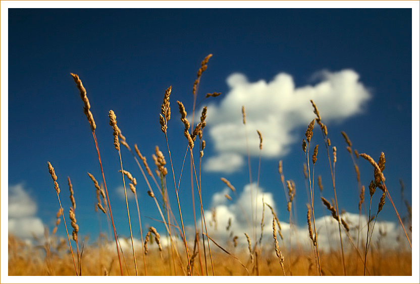 Beyond the sky 