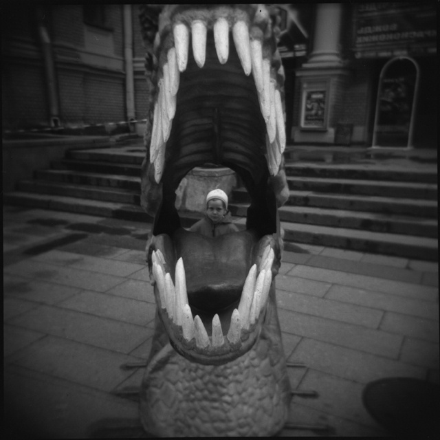 j a w s holga хольга 6х6