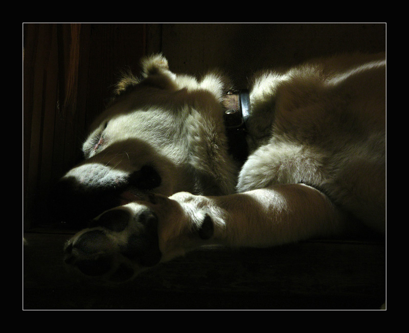 Sweet dreams... 