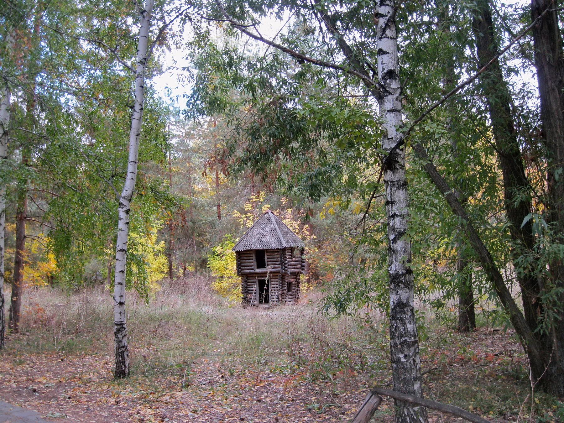 На лесной поляне Осень октябрь лес поляна избушка