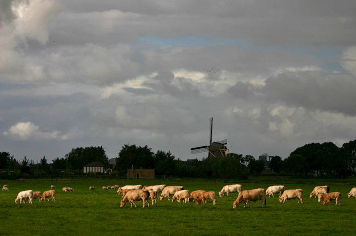 Amstelveen 