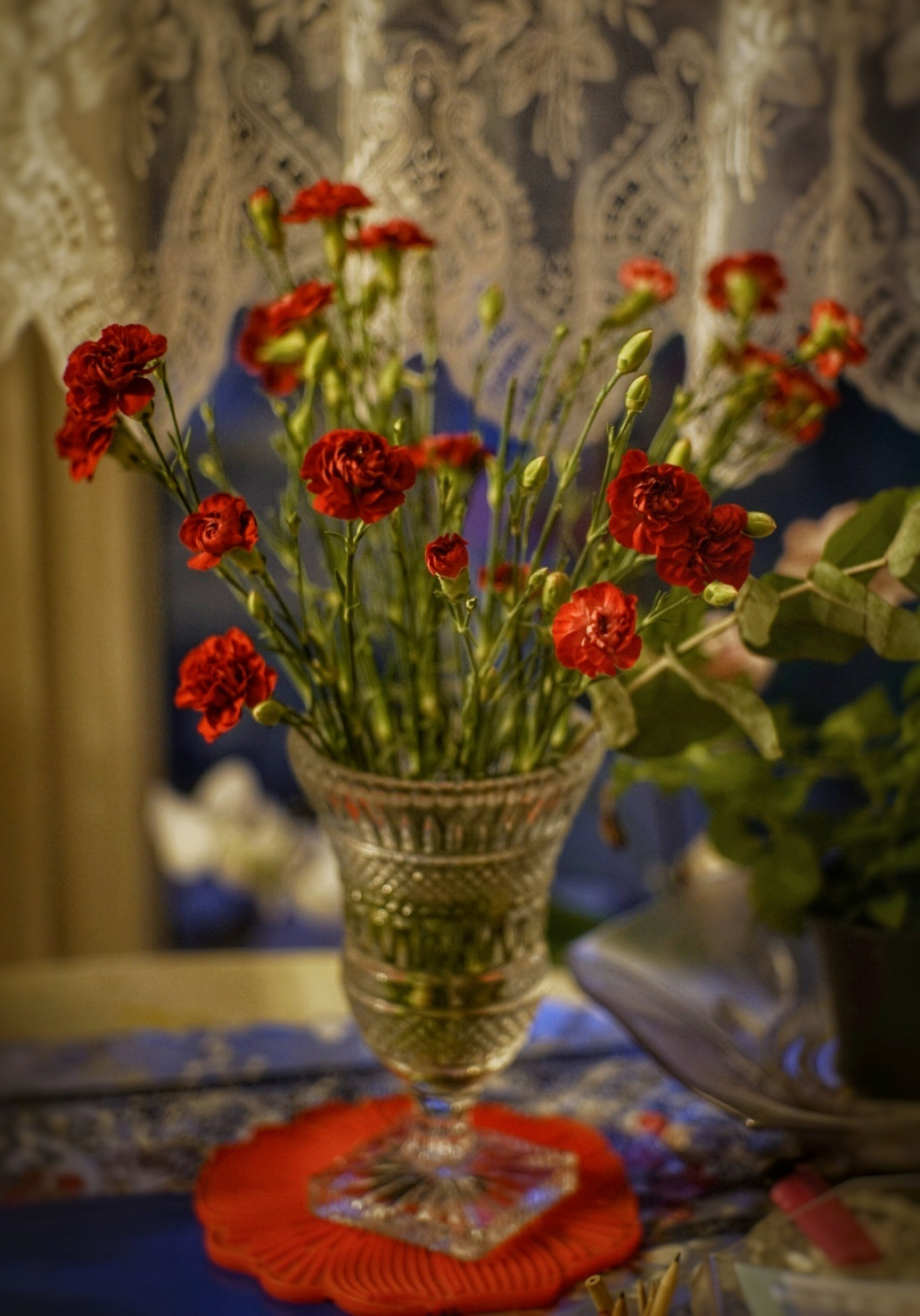 Гвоздики, взгляд из 1964, юпитер 9 