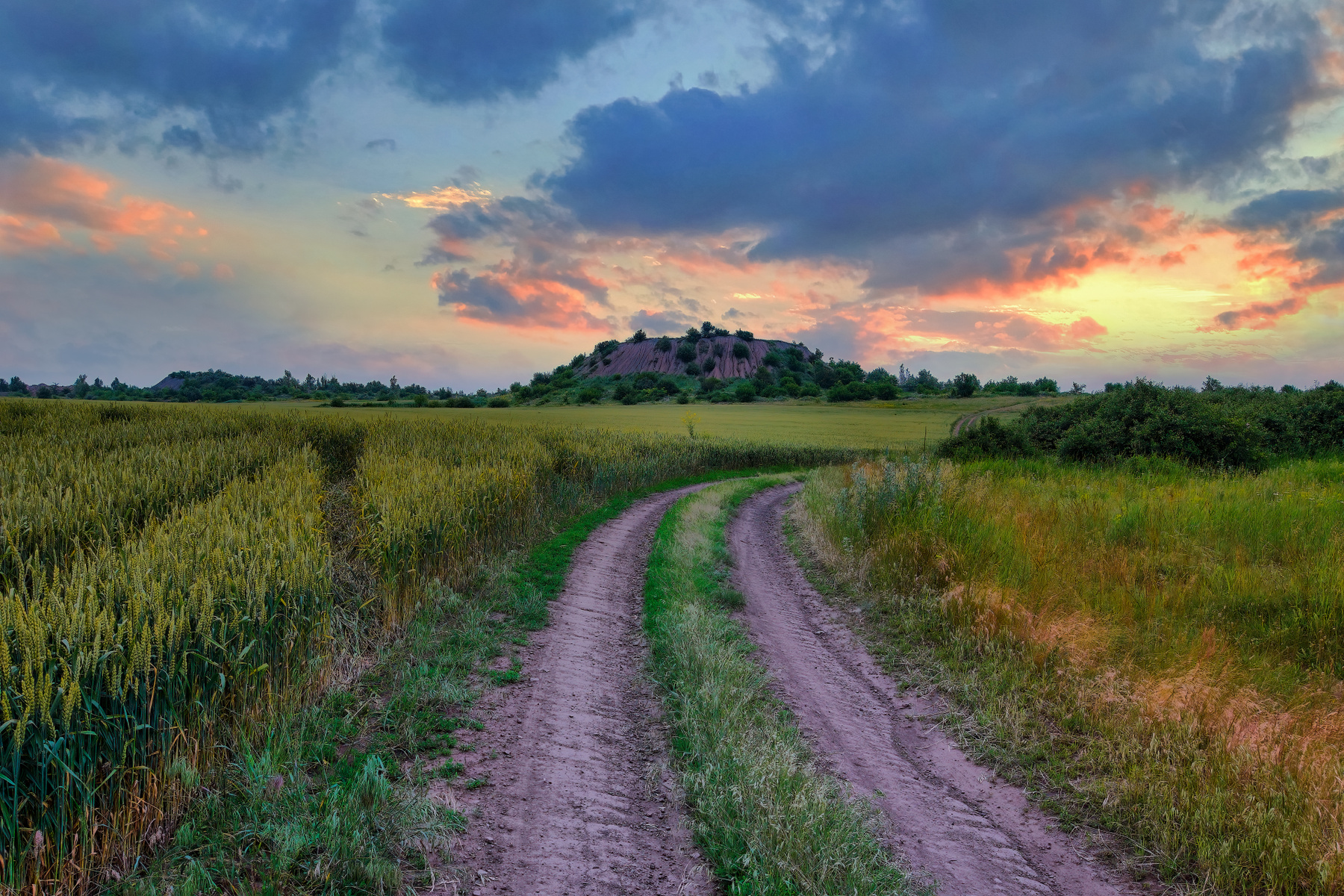 Дорога умиротворения 
