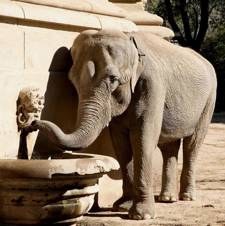 Immediate joining Buenos Aires Zoo