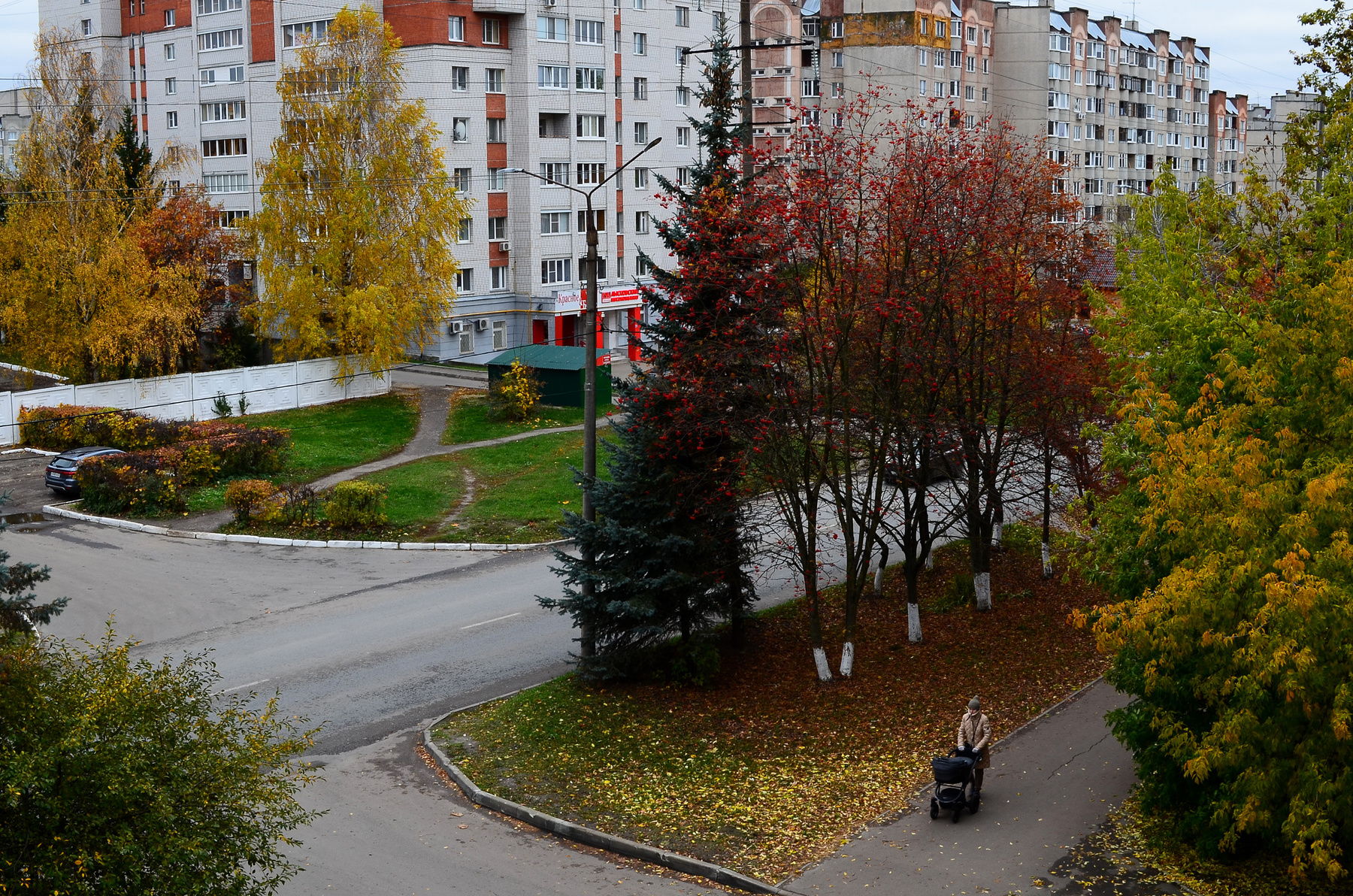 Золотая осень Город золотая осень