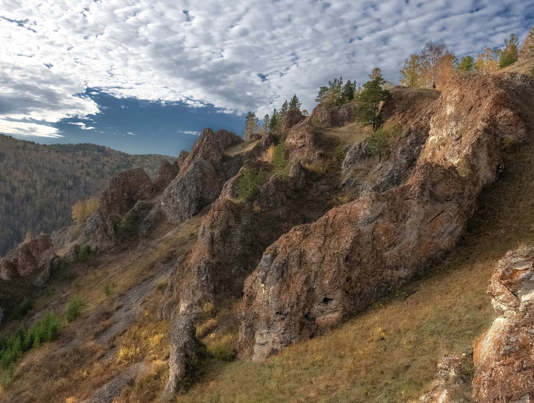 Осенний склон Осень склон торгашинский хребет