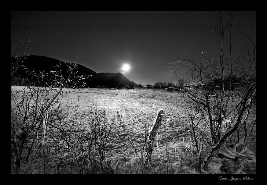Winter Night II 