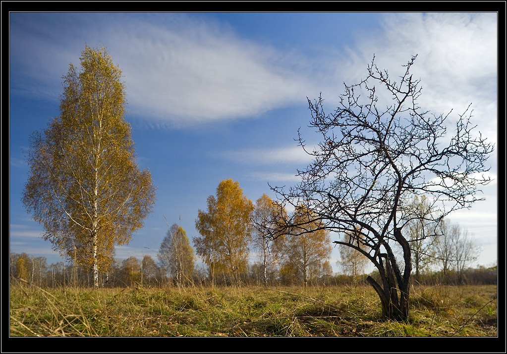 Уже осень осень