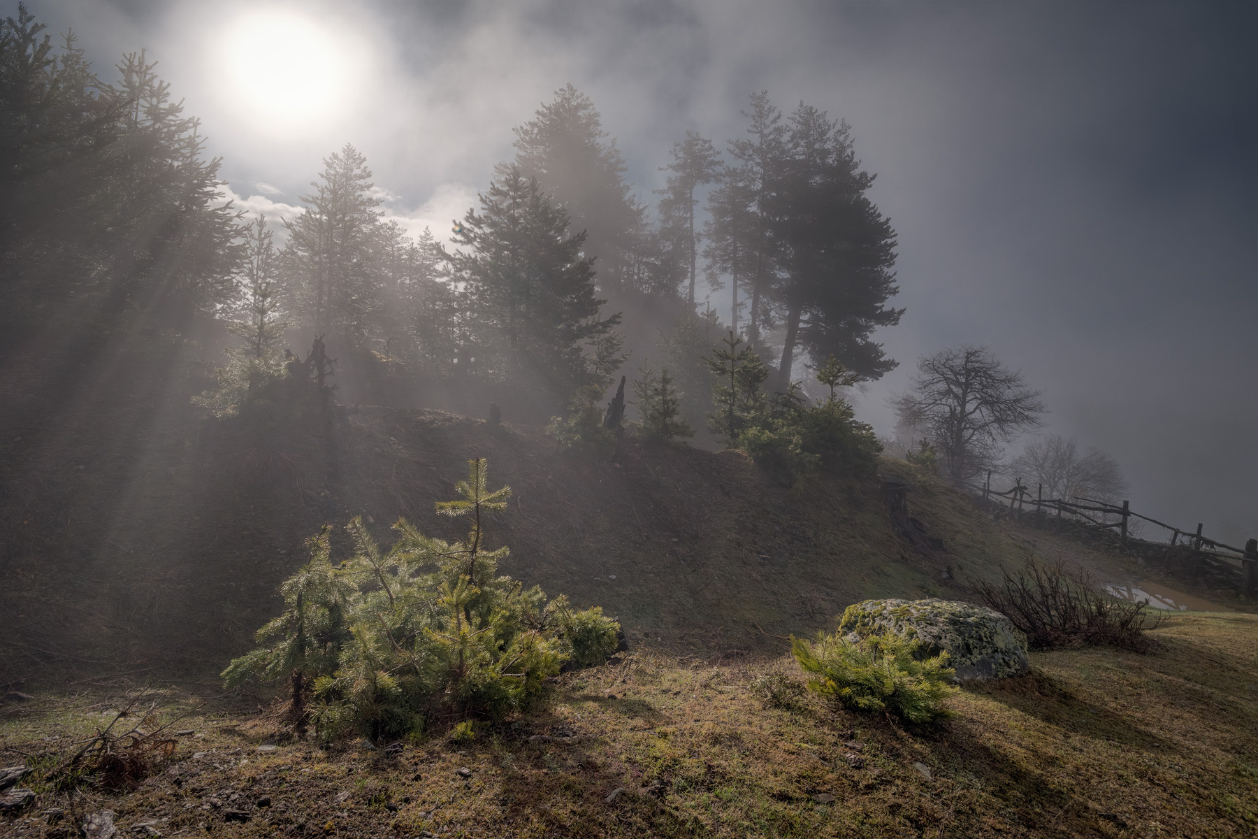 Forest In Clouds svaneti tsvirmi spring clouds forest trees mountains fog sky nature landscape scenery travel outdoors georgia sakartvelo chizh