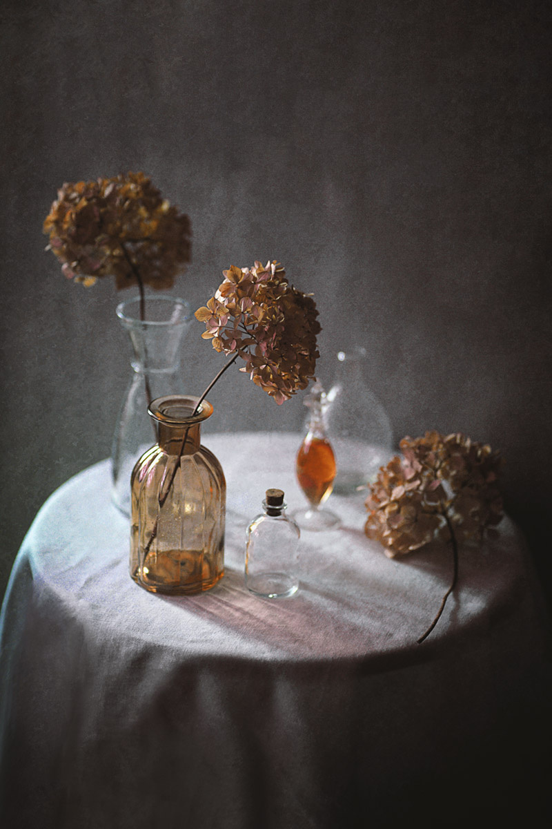 С гортензией... натюрморты длядуши цветочный_натюрморт stilllife still_life гортензия dreams natürmort натюрморт букет