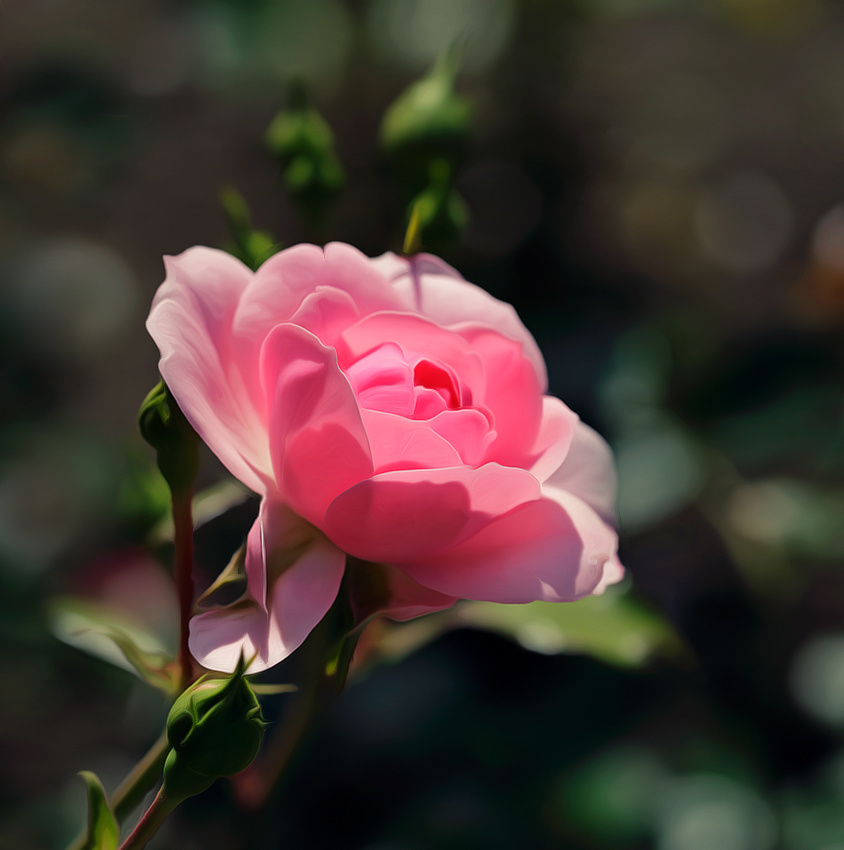 ~*~ 